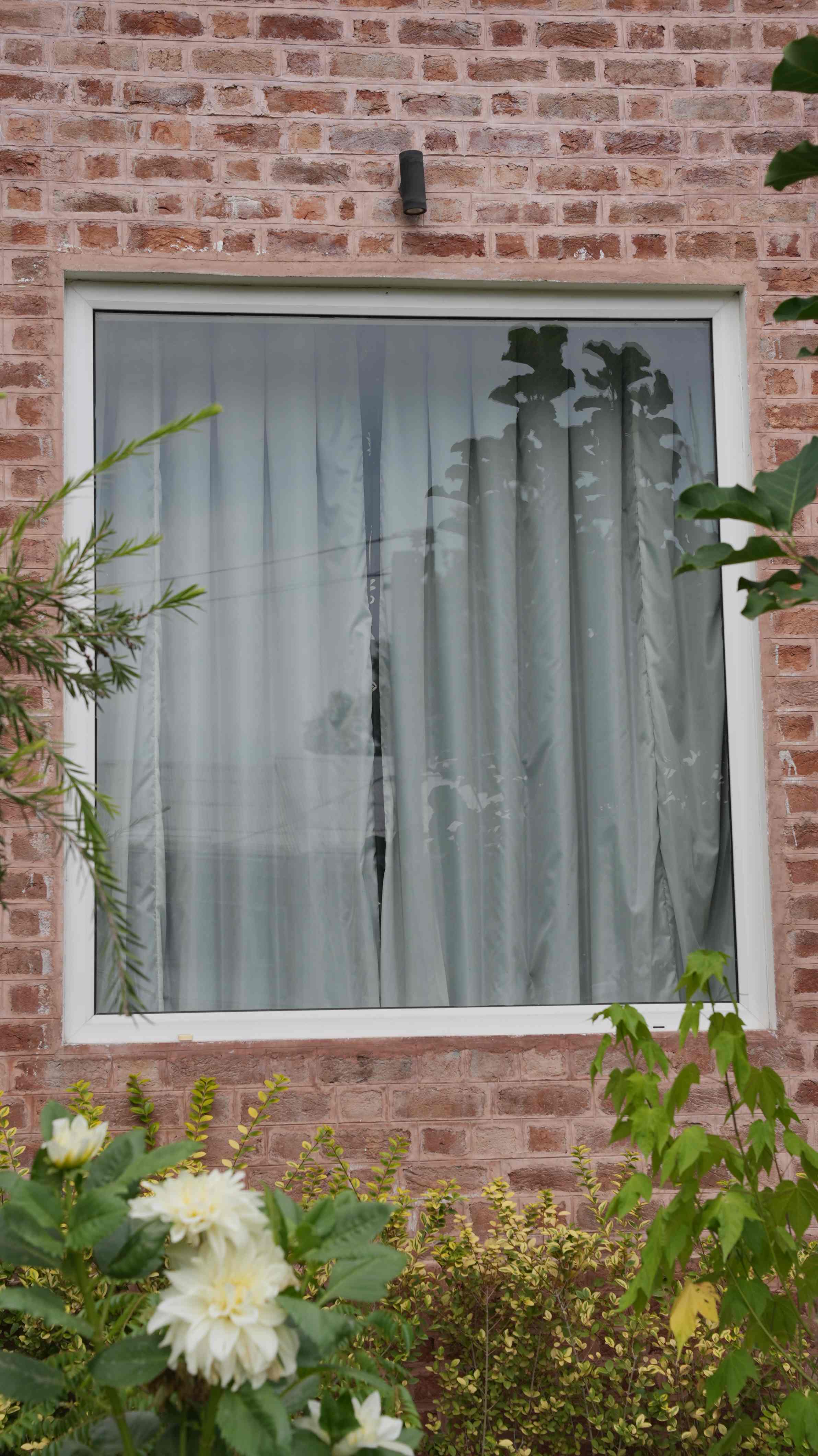 Office Complex Windows